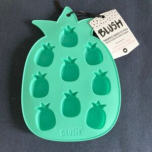 *3/$10* NWT Blush Pineapple Shaped Ice Mold